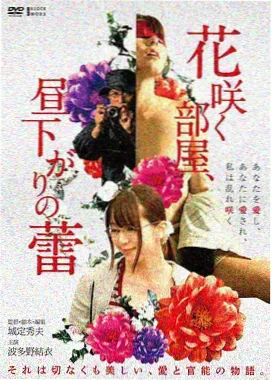 金正权导演访谈 图书馆的女朋友